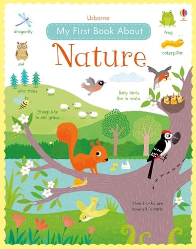 9781409597902: My First book About Nature (All About)