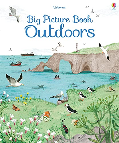 Stock image for Big Picture Book Outdoors (Big Books) for sale by AwesomeBooks