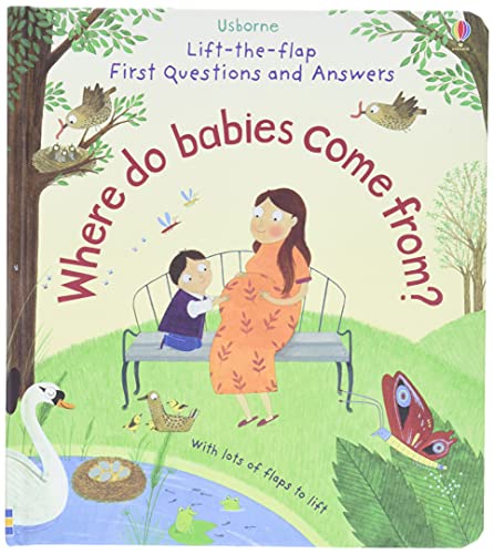9781409598824: Lift-The-Flap First Questions & Answers Where Do Babies Come  from? (Lift-the-Flap First Questions and Answers) - Katie Daynes:  1409598829 - AbeBooks