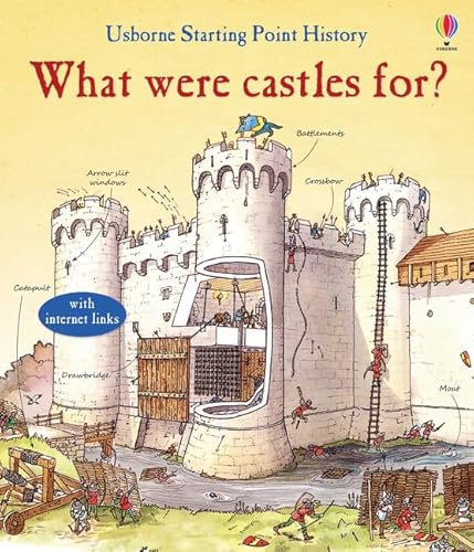 9781409599784: What Were Castles For?