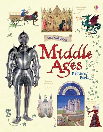 9781409599838: Middle Ages Picture Book