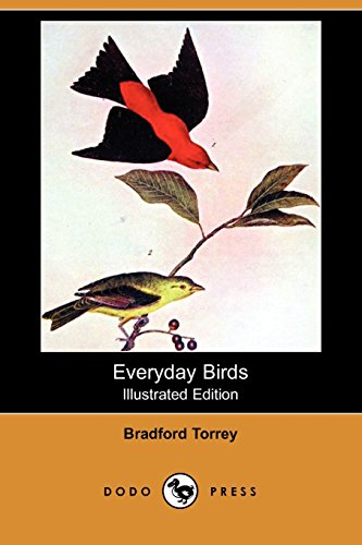 Everyday Birds (9781409910749) by Torrey, Bradford