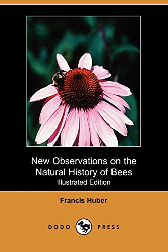9781409939528: New Observations on the Natural History of Bees