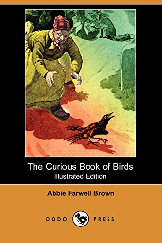 9781409942283: The Curious Book of Birds