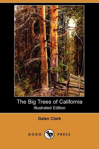 9781409966029: The Big Trees of California