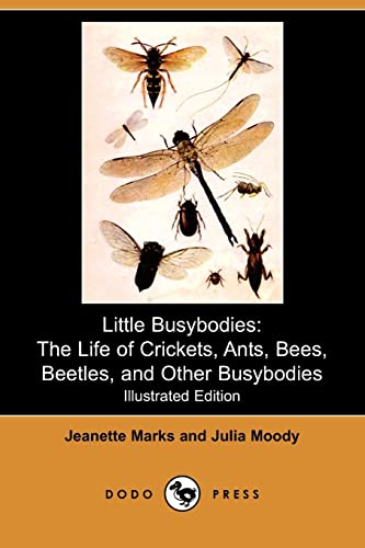 9781409966654: Little Busybodies: The Life of Crickets, Ants, Bees, Beetles, and Other Busybodies