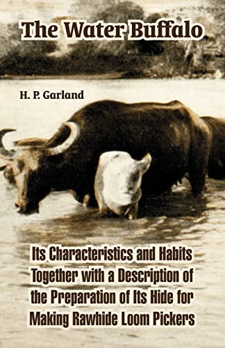 Beispielbild fr The Water Buffalo: Its Characteristics and Habits Together with a Description of the Preparation of Its Hide for Making Rawhide Loom Pickers zum Verkauf von Chiron Media