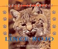 9781410300102: El Lince Rojo/the Bobcat (Gatos Salvajes/Wild Cats)