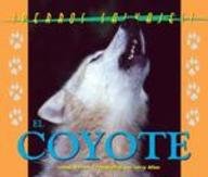 Beispielbild fr Perros Salvajes (Wild Canines of North America) - El Coyote (The Coyote) zum Verkauf von Irish Booksellers