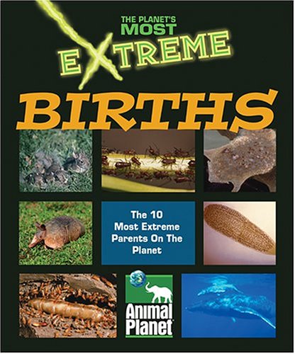 9781410303806: Extreme Births (Planet's Most Extreme)