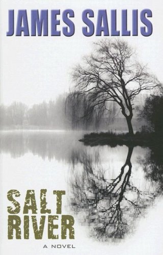 Imagen de archivo de Salt River (Thorndike Reviewers' Choice) a la venta por The Yard Sale Store