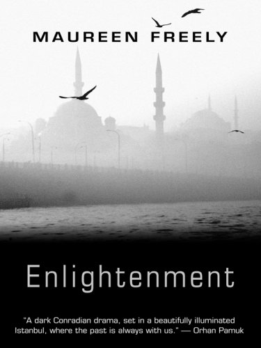 9781410410856: Enlightenment (Thorndike Reviewers' Choice)