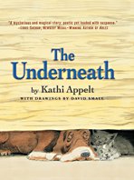 9781410417930: The Underneath (Thorndike Press Large Print Literacy Bridge Series)