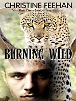 9781410419361: Burning Wild (Thorndike Press Large Print Romance Series)