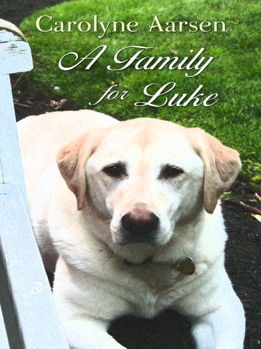 Stock image for A Family for Luke for sale by ThriftBooks-Atlanta