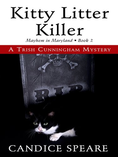 Stock image for Kitty Litter Killer : A Romantic Mystery for sale by Better World Books