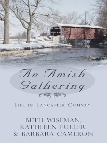 An Amish Gathering: Life in Lancaster County Three Amish Novellas (Thorndike Press Large Print Christian Romance) (9781410425898) by Wiseman, Beth; Cameron, Barbara