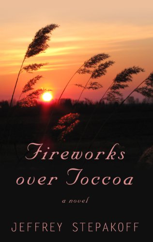 9781410427441: Fireworks Over Toccoa (Thorndike Press Large Print Basic Series)