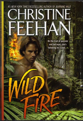 9781410430427: Wild Fire (Thorndike Press Large Print Romance Series)
