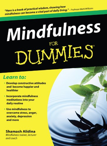 9781410434050: Mindfulness for Dummies