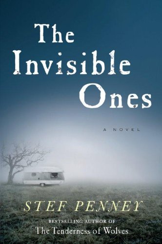 9781410445285: The Invisible Ones (Wheeler Large Print Book Series)