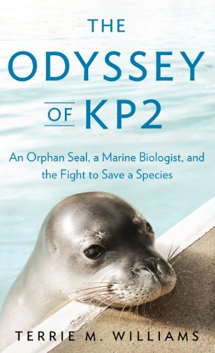 Imagen de archivo de The Odyssey of KP2: An Orphan Seal, a Marine Biologist, and the Fight to Save a Species a la venta por ThriftBooks-Dallas