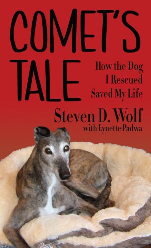 Beispielbild fr Comet's Tale : How the Dog I Rescued Saved My Life zum Verkauf von Better World Books