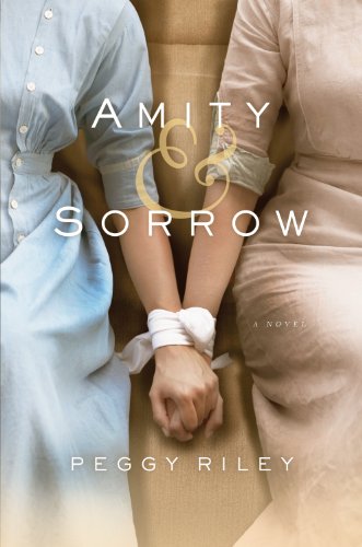 9781410459459: Amity & Sorrow (Thorndike Press Large Print Core)