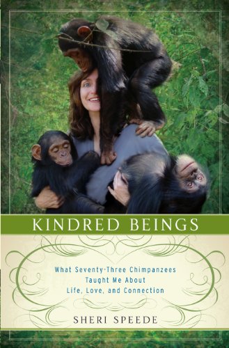 9781410465269: Kindred Beings: What Seventy-Three Chimpanzees Taught Me About Life, Love, and Connection (Thorndike Press Large Print Biography)
