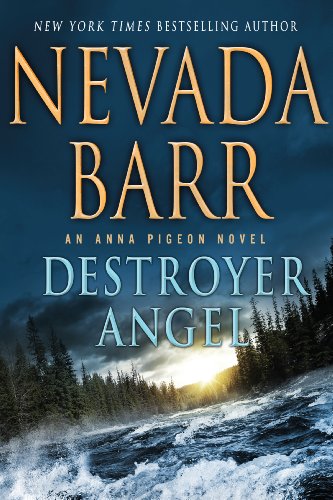 9781410466914: Destroyer Angel (Anna Pigeon)