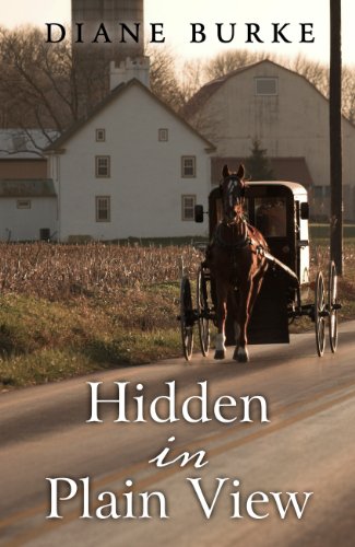 9781410468307: Hidden in Plain View (Thorndike Press Large Print Christian Mystery)