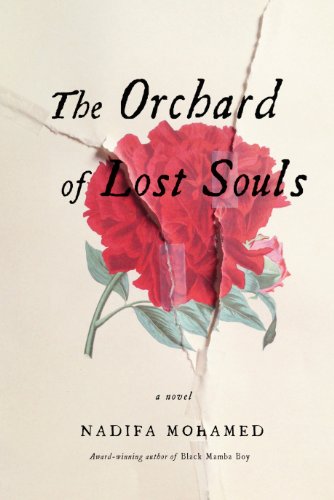 9781410469304: The Orchard Of Lost Souls (Thorndike Press Large Print Reviewer's Choice)
