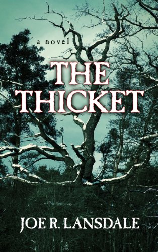 9781410470782: The Thicket