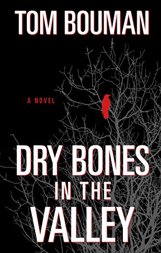 9781410473189: Dry Bones in the Valley