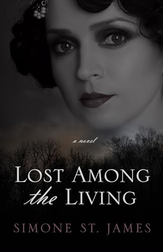 9781410489159: Lost Among the Living (Kennebec Press Large Print Superior Collection)
