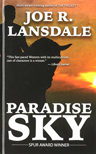 9781410489678: Paradise Sky