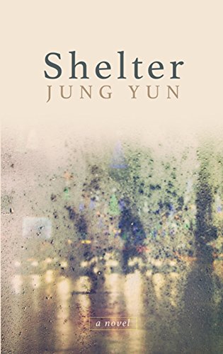 9781410491343: Shelter (Wheeler Publishing Large Print Hardcover)