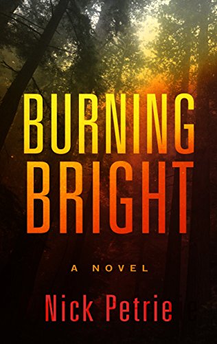

Burning Bright (Wheeler Large Print Book Series)