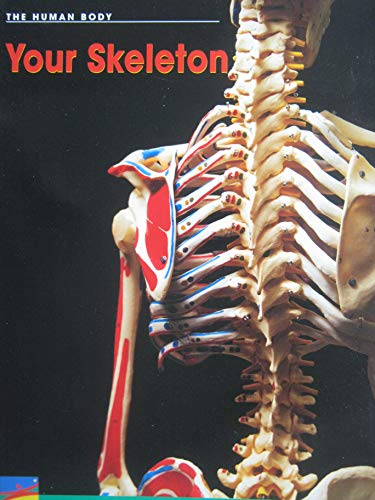 Stock image for English Explorers, Your Skeleton for sale by SecondSale