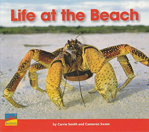 Beispielbild fr LIFE AT THE BEACH zum Verkauf von Wonder Book