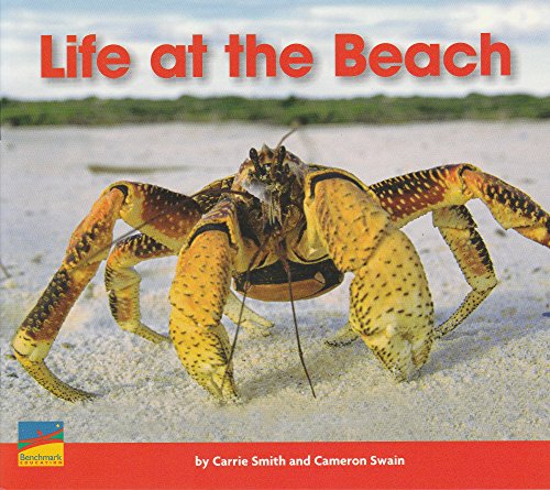 Imagen de archivo de LIFE AT THE BEACH a la venta por Wonder Book