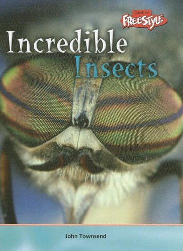 Beispielbild fr Incredible Insects zum Verkauf von Better World Books
