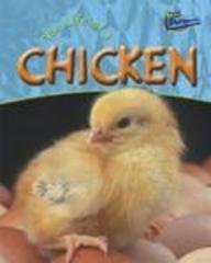 9781410905369: The Life of a Chicken (Perspectives)