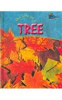 Beispielbild fr The Life of a Tree zum Verkauf von Better World Books