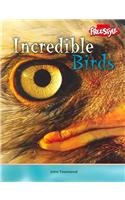 9781410908513: Incredible Birds (Incredible Creatures)
