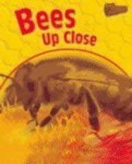 Beispielbild fr Bees Up Close zum Verkauf von ThriftBooks-Atlanta