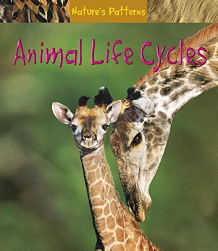 Stock image for Animal Life Cycles for sale by Black and Read Books, Music & Games