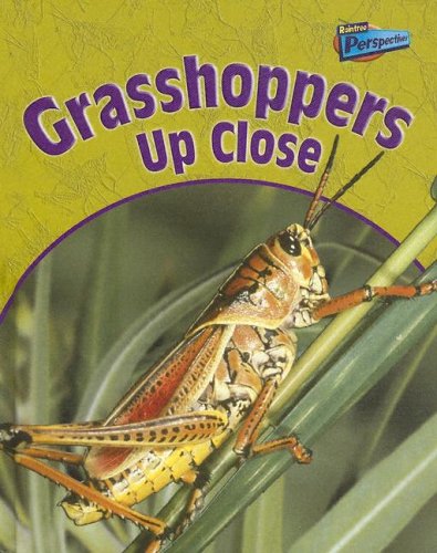 Stock image for Grasshoppers Up Close (Perspectives) for sale by THEVILLAGEBOOKSTORE