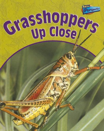 Stock image for Grasshoppers Up Close (Minibeasts Up Close) for sale by Hawking Books