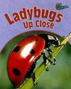 Beispielbild fr Ladybugs up Close zum Verkauf von Better World Books